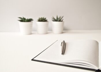 Regulamin – Kids Run 2024